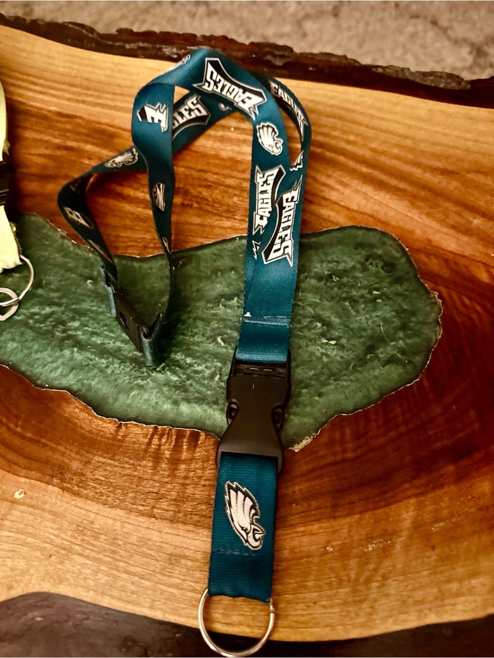 Philadelphia Eagles Teal Lanyard with Logo